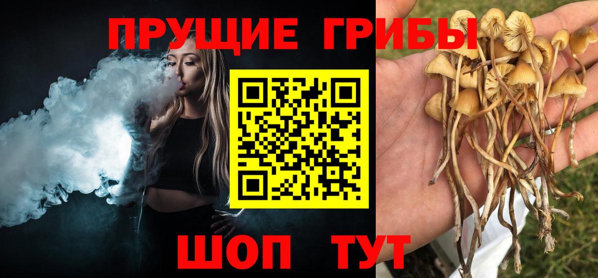 Галлюциногенные грибы GOLDEN TEACHER Азов